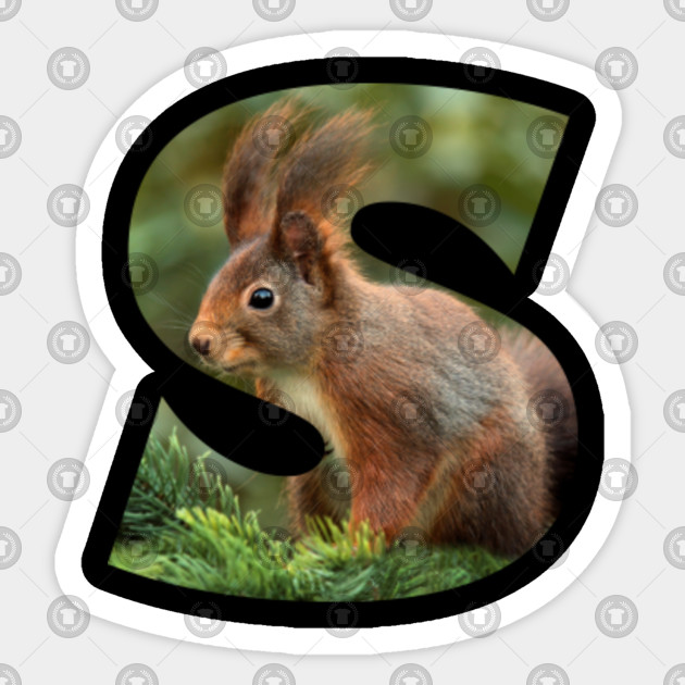S - Squirrel 002